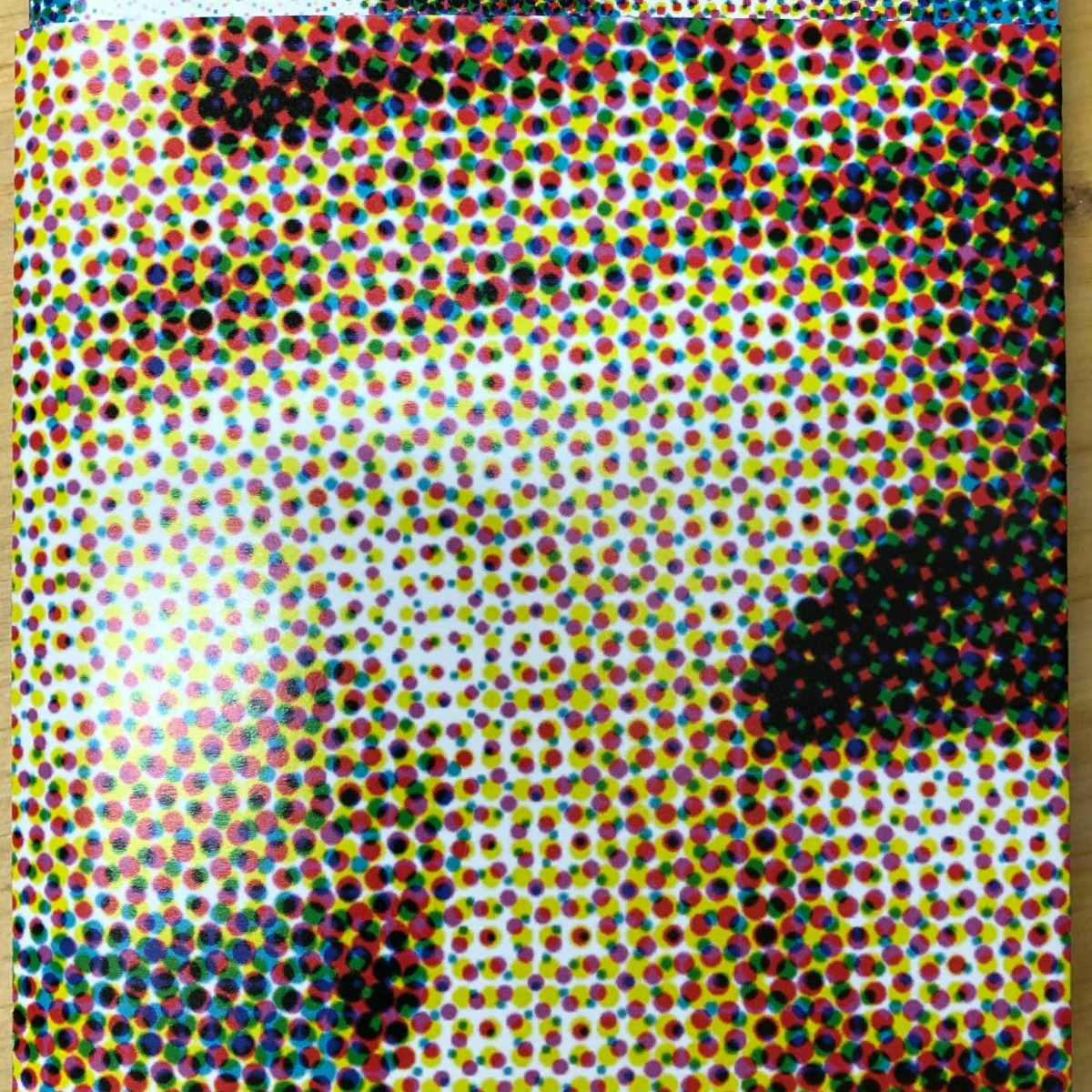 Ride on the Dolphin's back. Stand on the Dolphin's back.